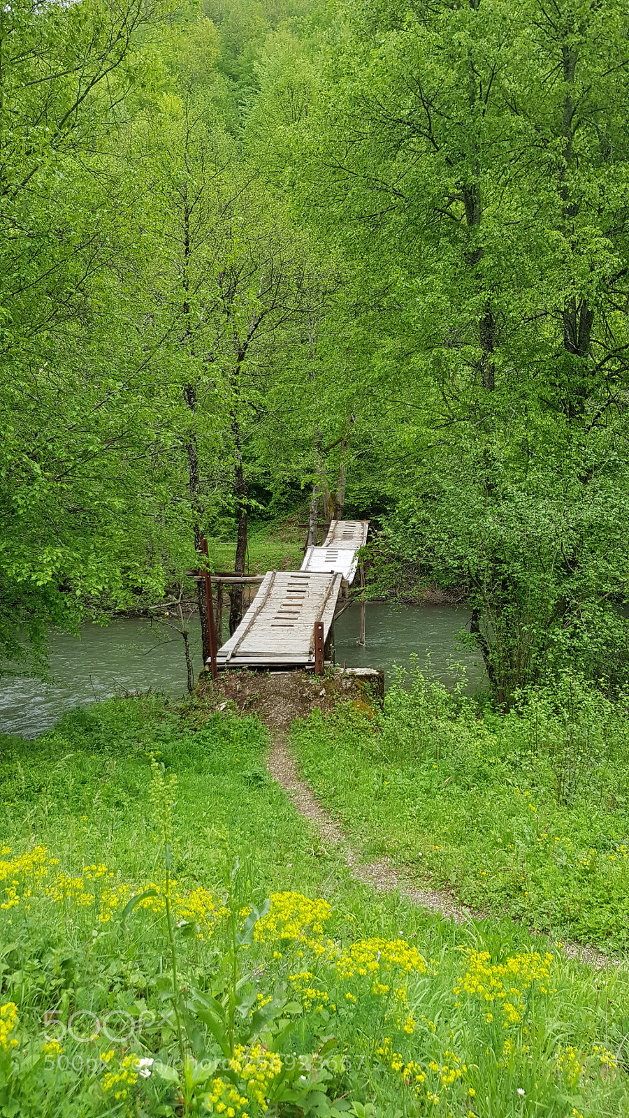 Samsung Galaxy S8+ sample photo. Bridge photography