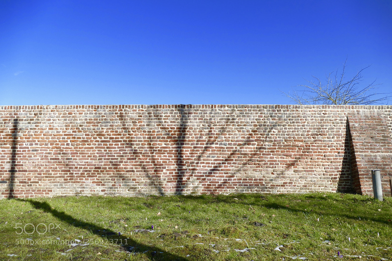 Panasonic Lumix DMC-FZ1000 sample photo. Shadow on the wall photography