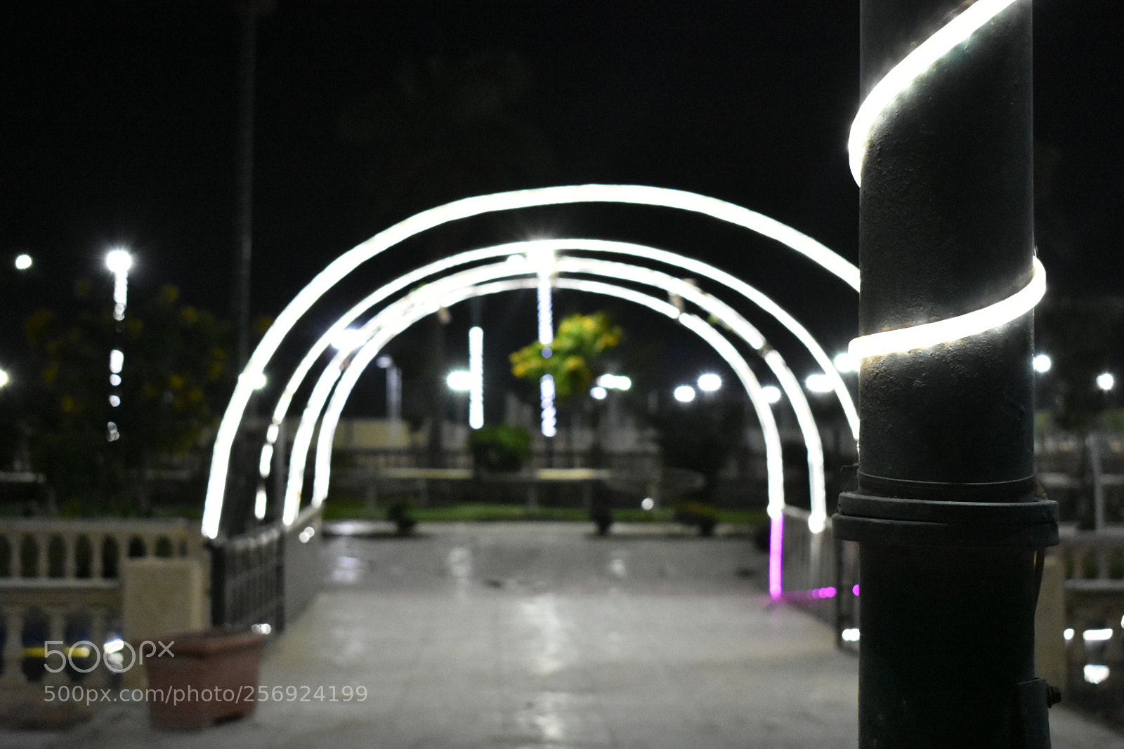 Nikon D3400 sample photo. Untitled photography