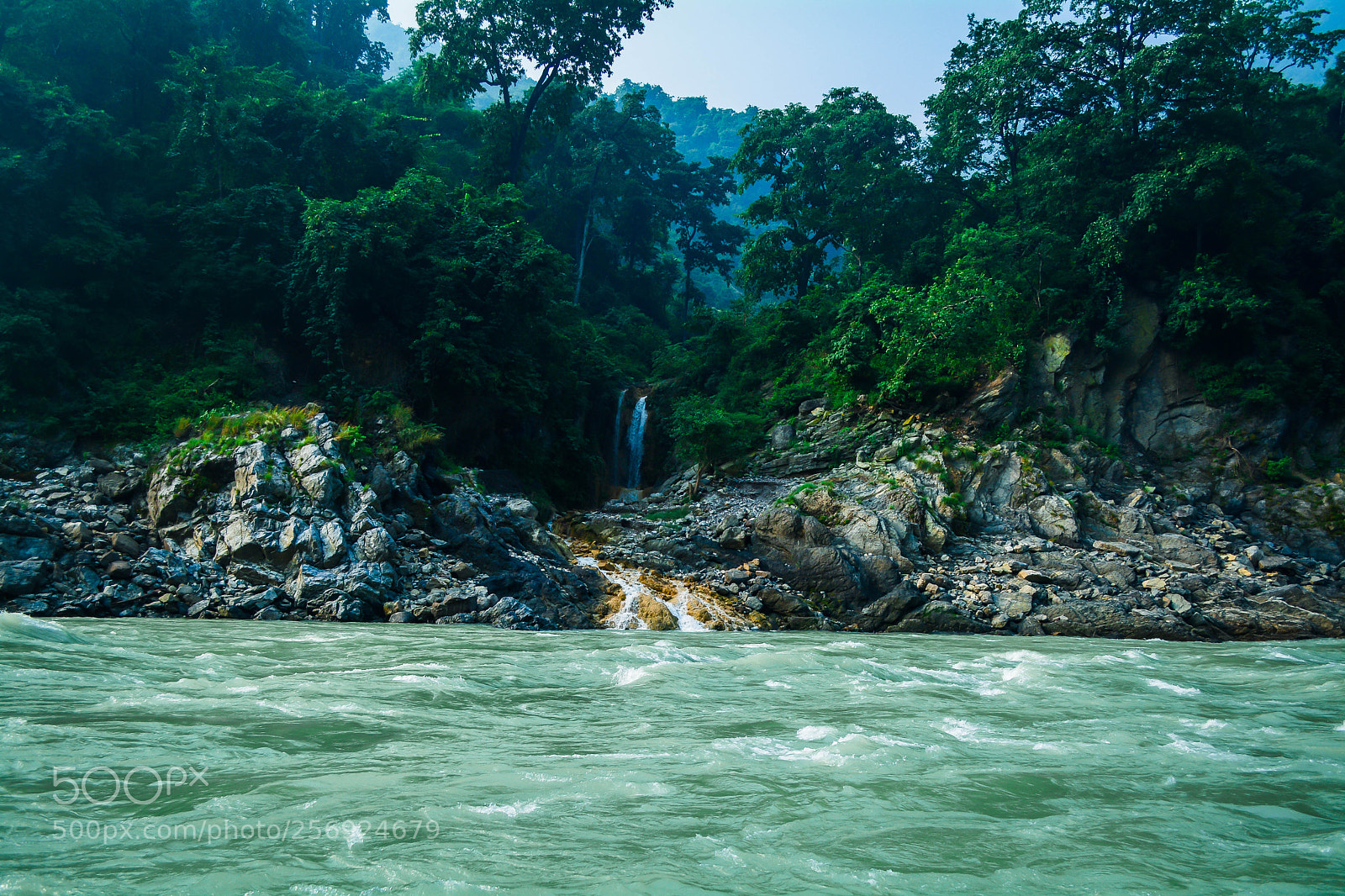 Nikon D5200 sample photo. Paradise green photography