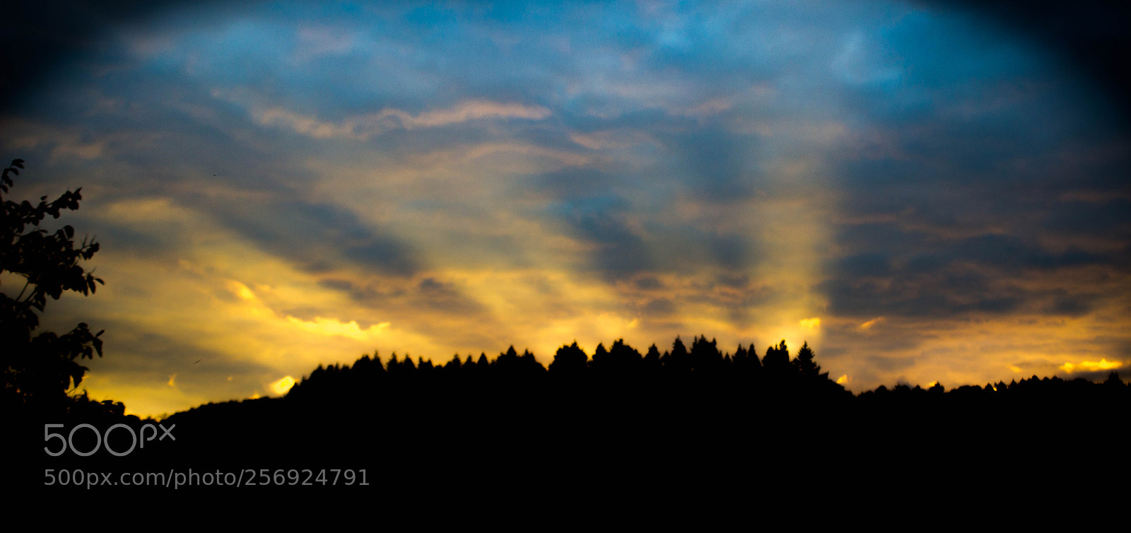 Canon EOS 600D (Rebel EOS T3i / EOS Kiss X5) sample photo. Rising sun photography