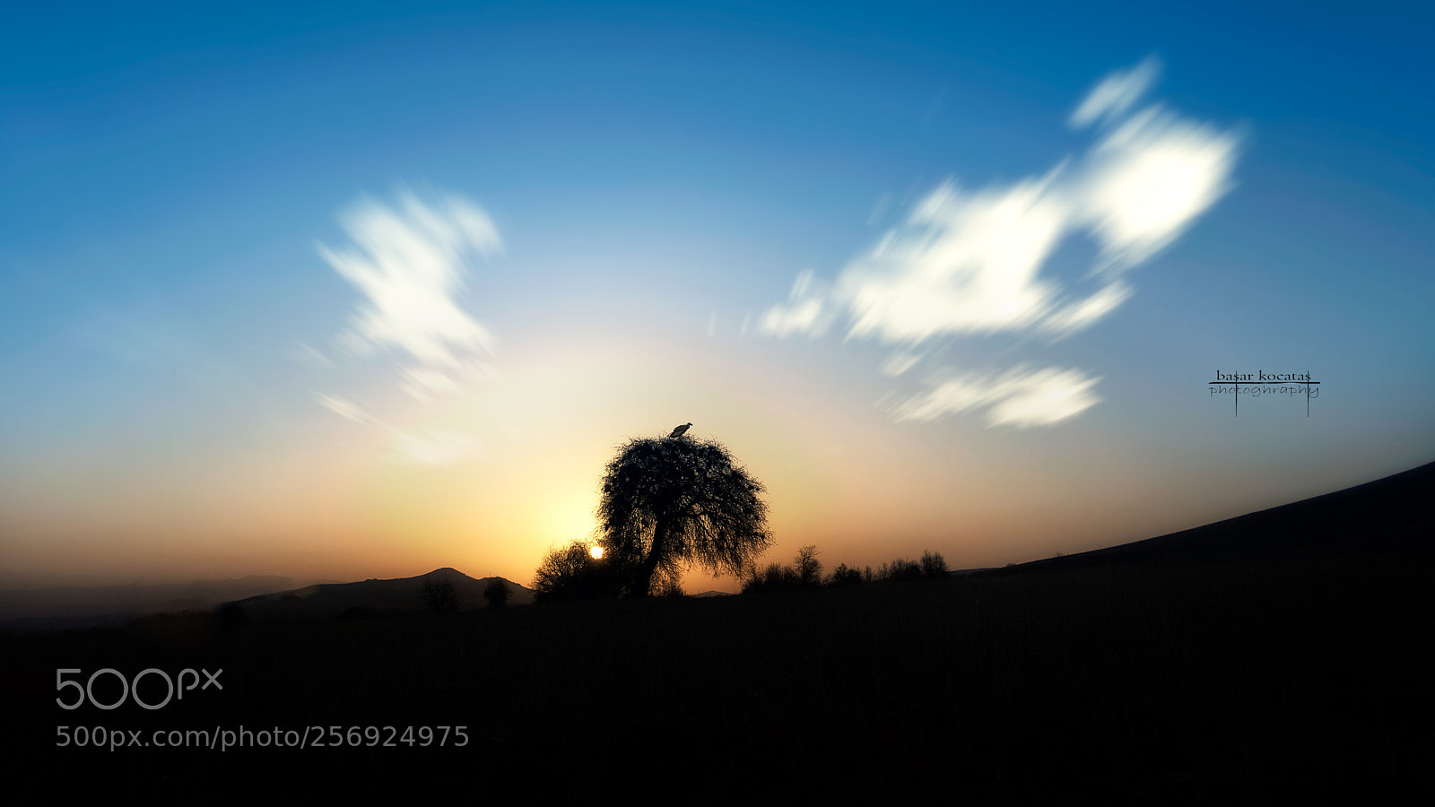 Sony a7 II sample photo. Dsc03830-3.jpg photography