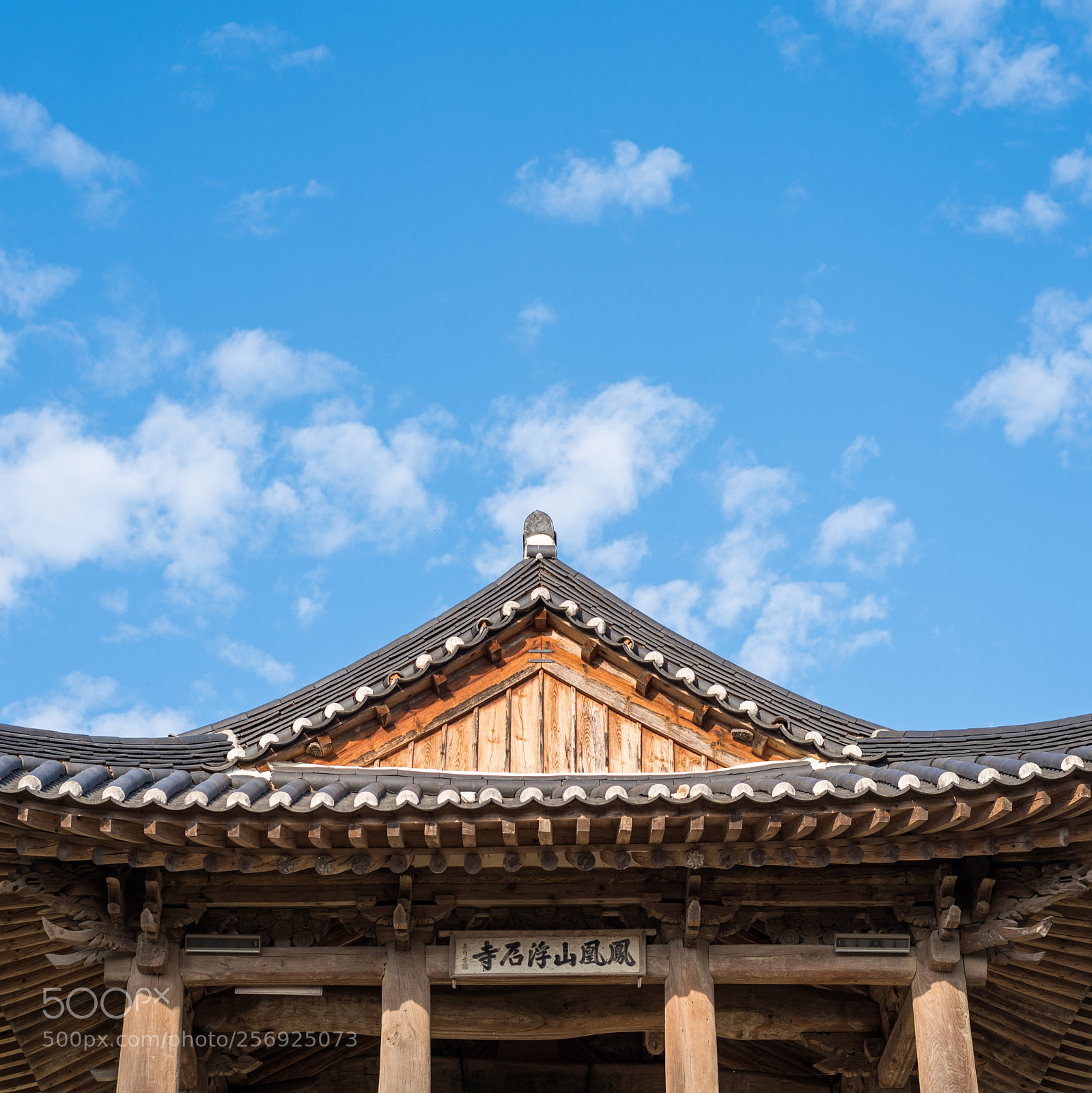Nikon D750 sample photo. Clear sky photography