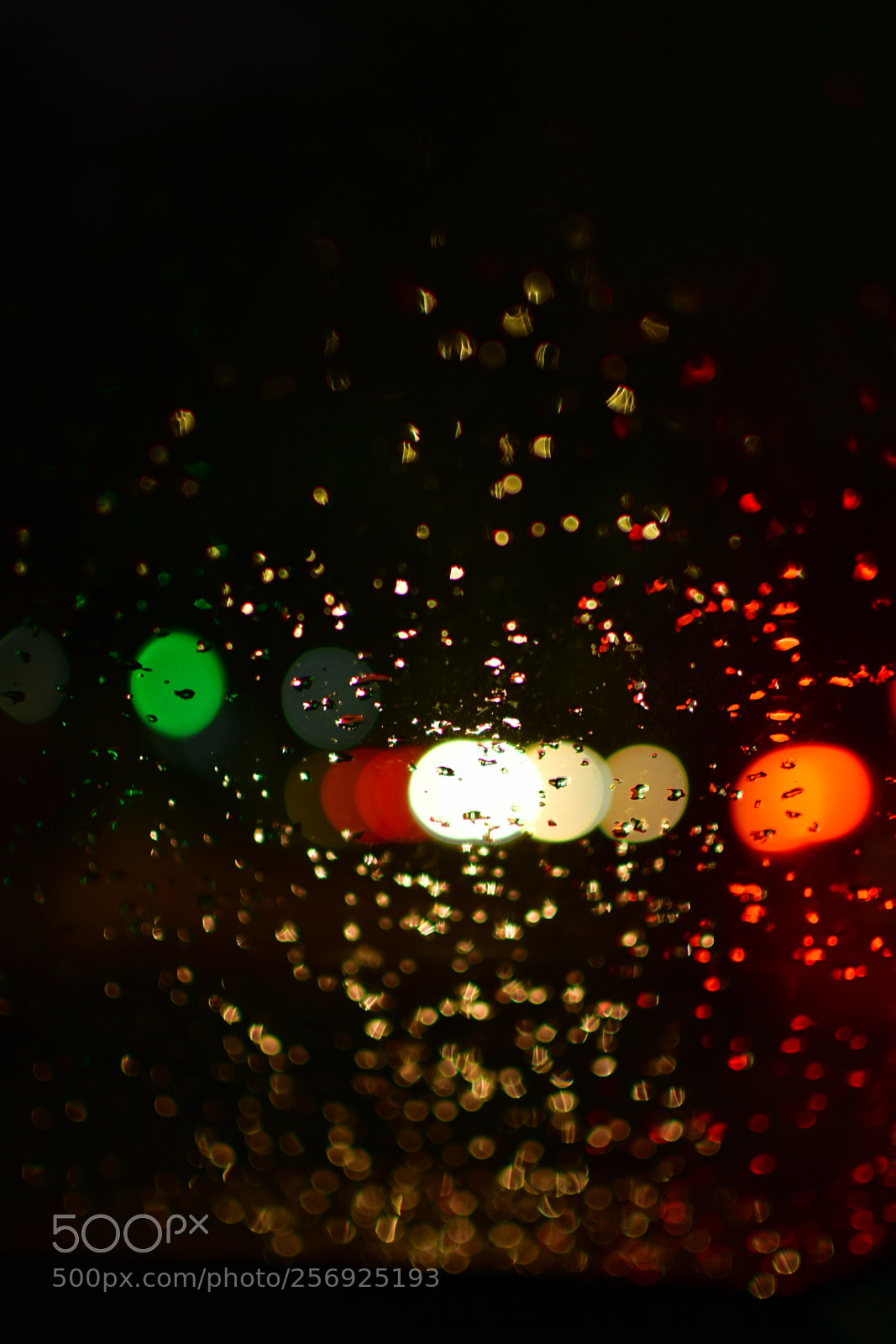 Nikon D7200 sample photo. Untitled photography