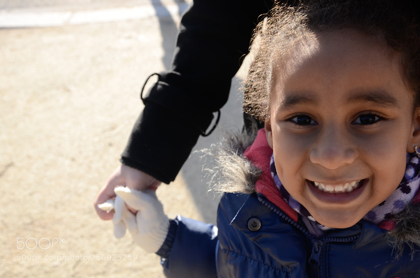 Nikon D7000 sample photo. Untitled photography