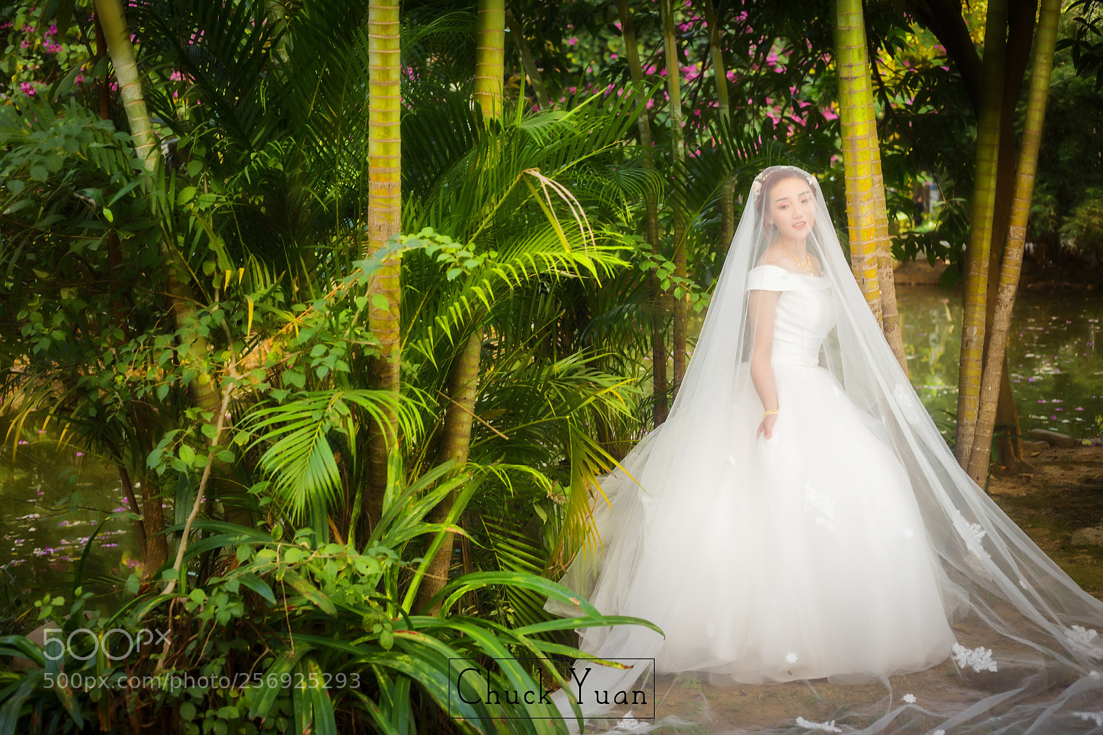 Canon EOS 6D sample photo. Untitled photography