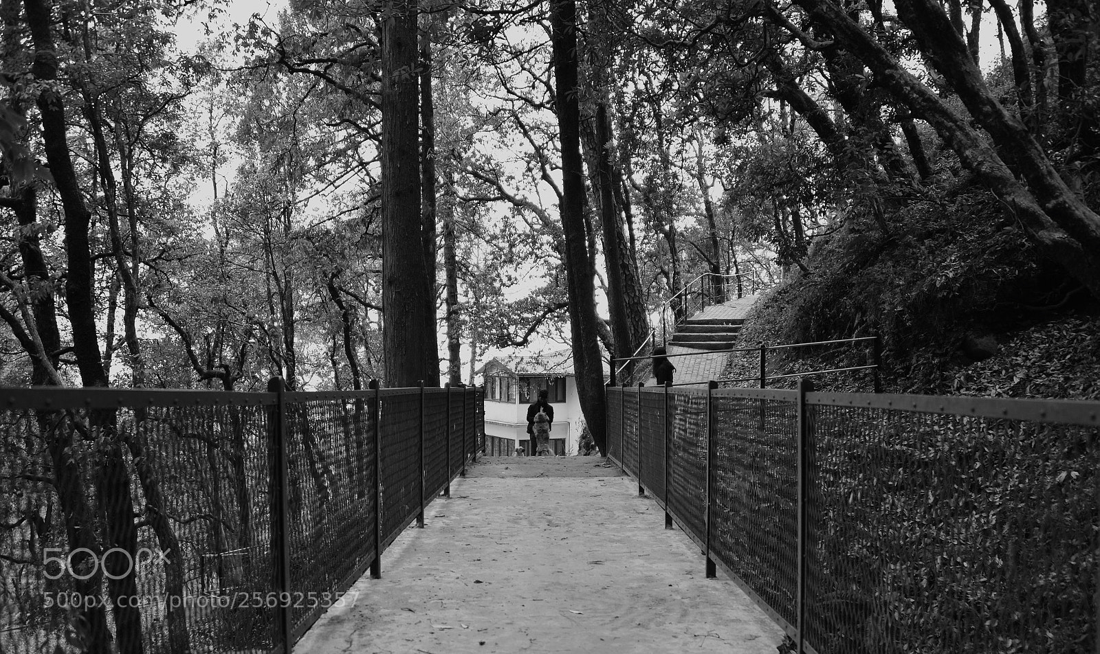 Nikon D610 sample photo. Across photography