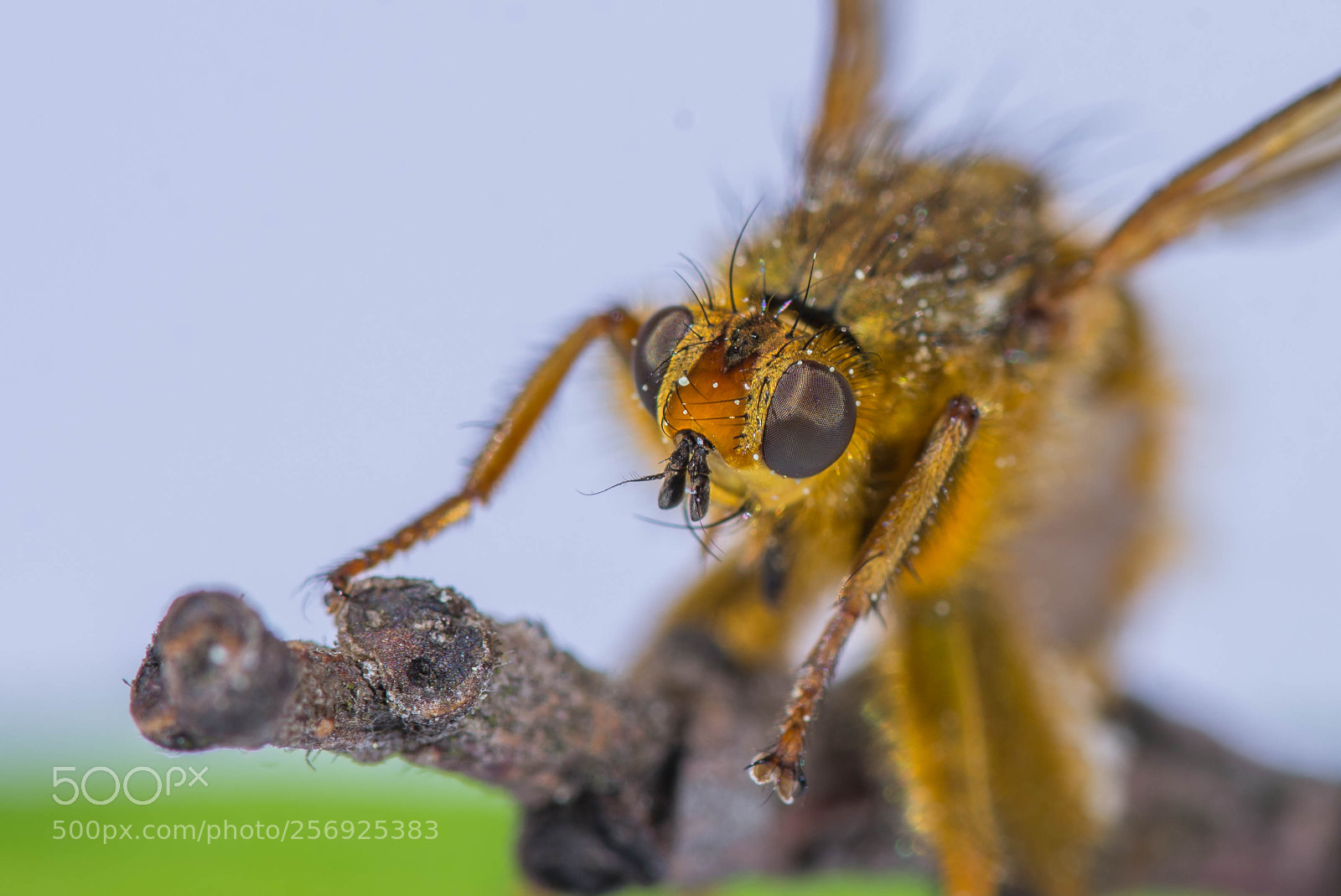 Nikon D7200 sample photo. ... photography
