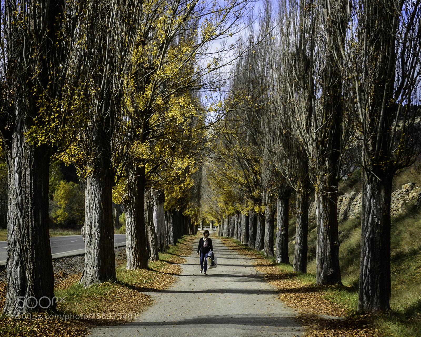 Nikon D800 sample photo. Paseo photography
