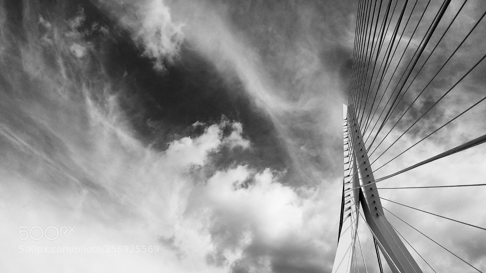 LG G5 sample photo. Rotterdam photography
