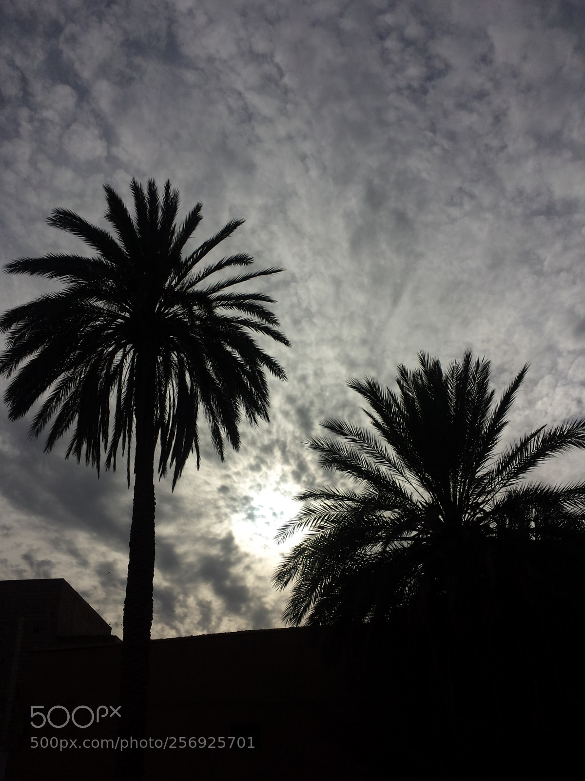 Samsung Galaxy S4 sample photo. Untitled photography