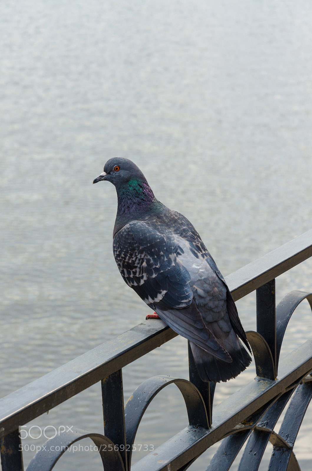 Nikon D5100 sample photo. 372 photography