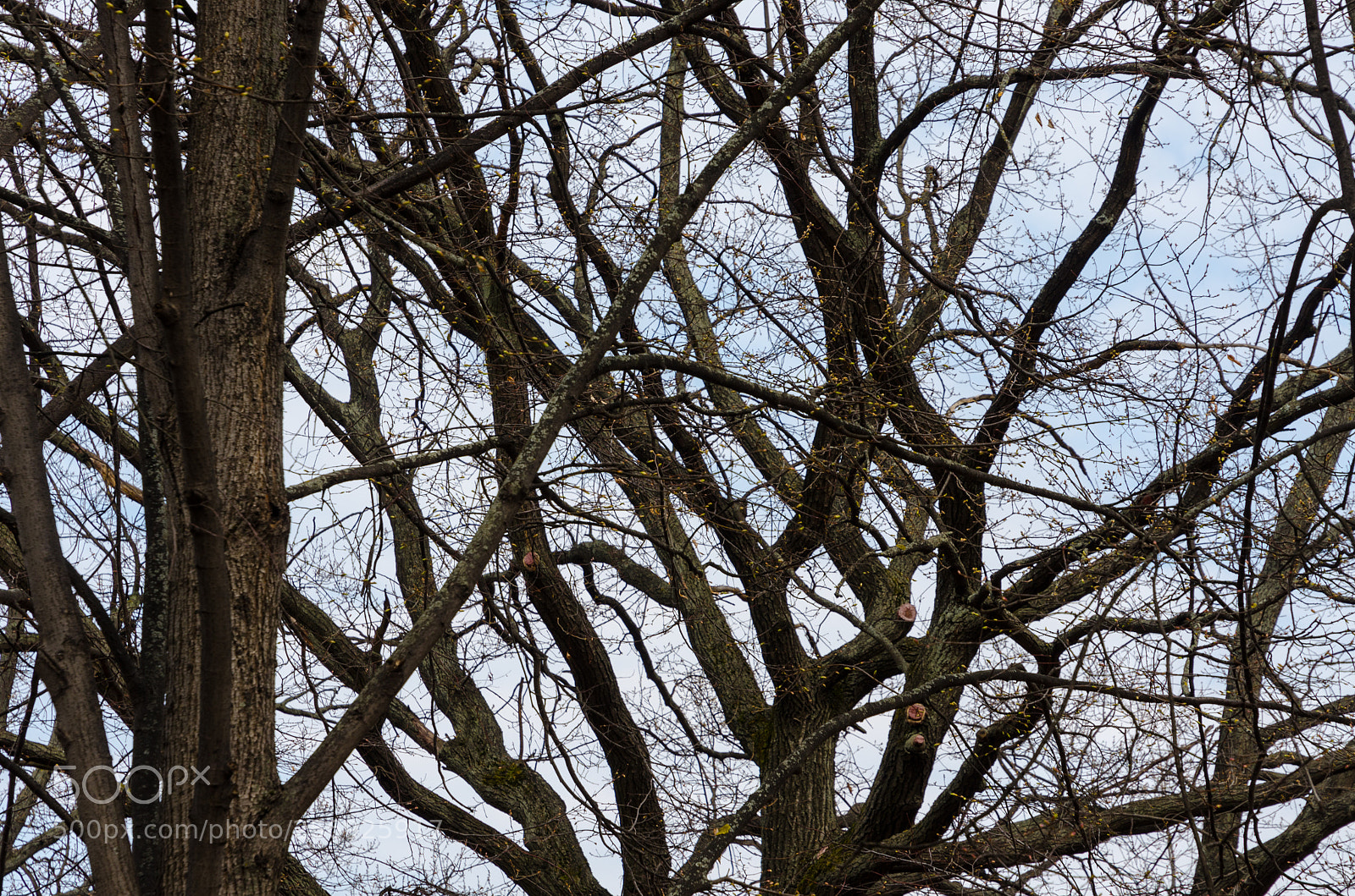 Nikon D5100 sample photo. 373 photography
