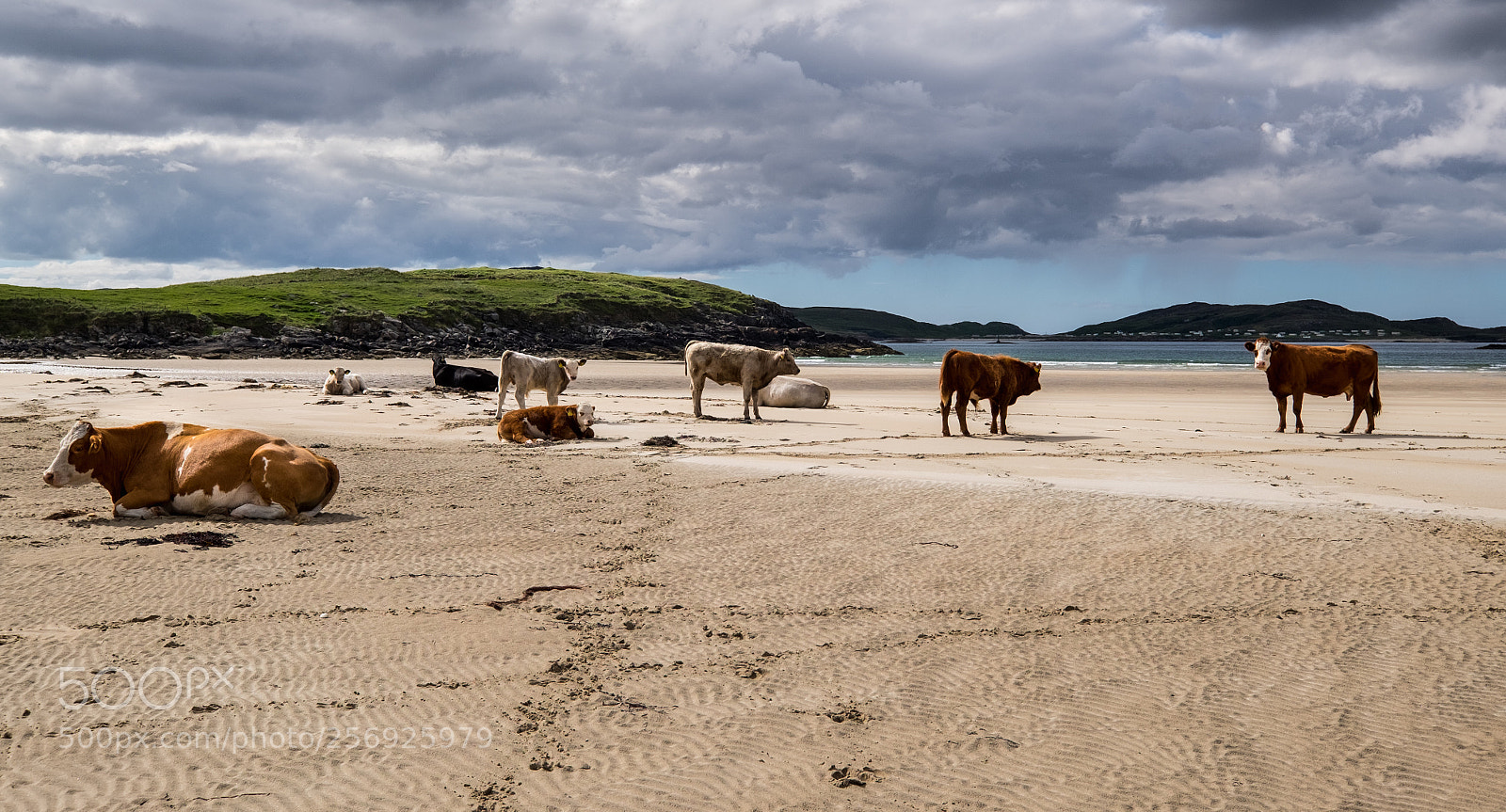 Fujifilm X-T1 sample photo. On the beach photography