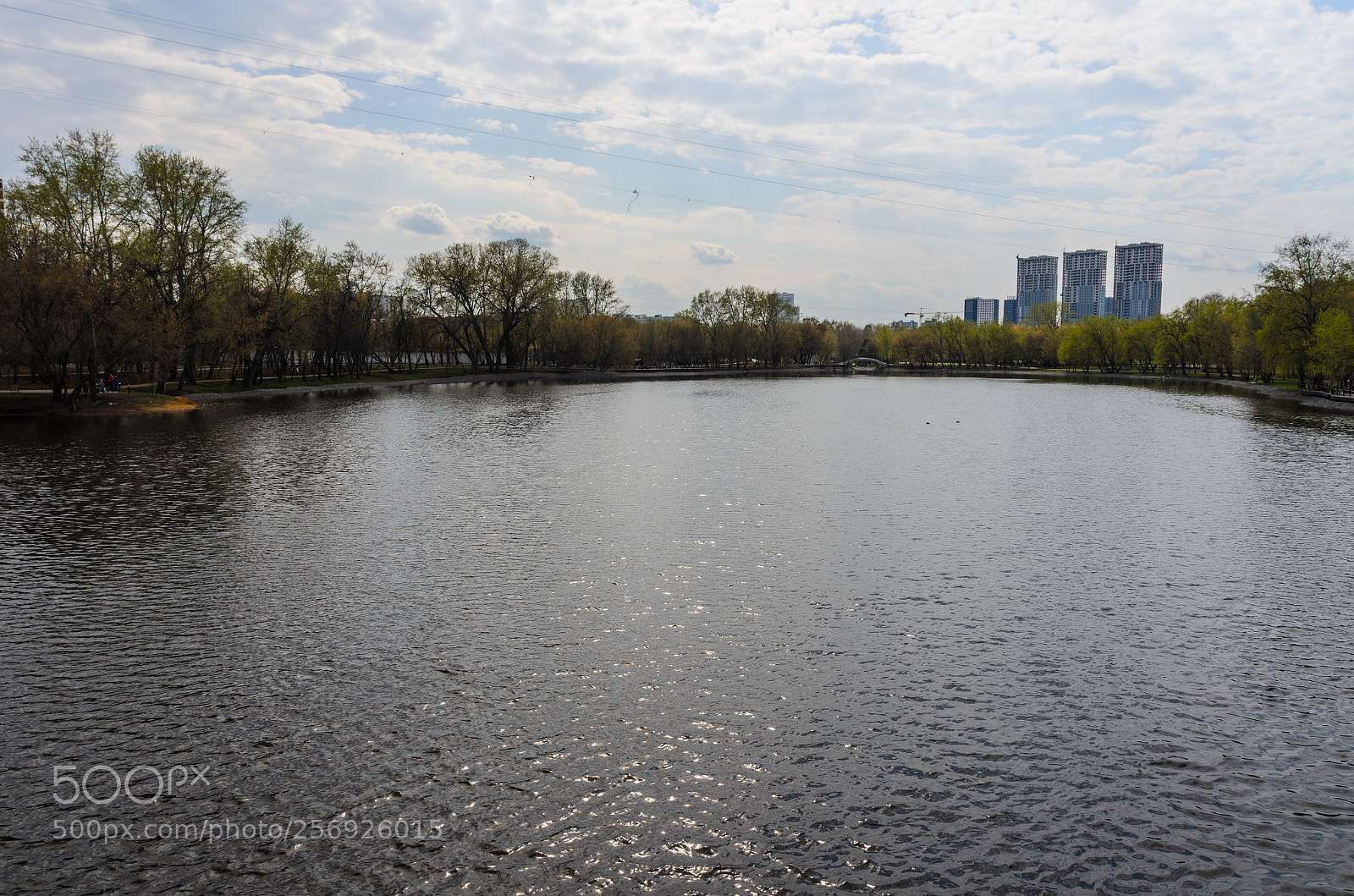 Nikon D5100 sample photo. 374 photography