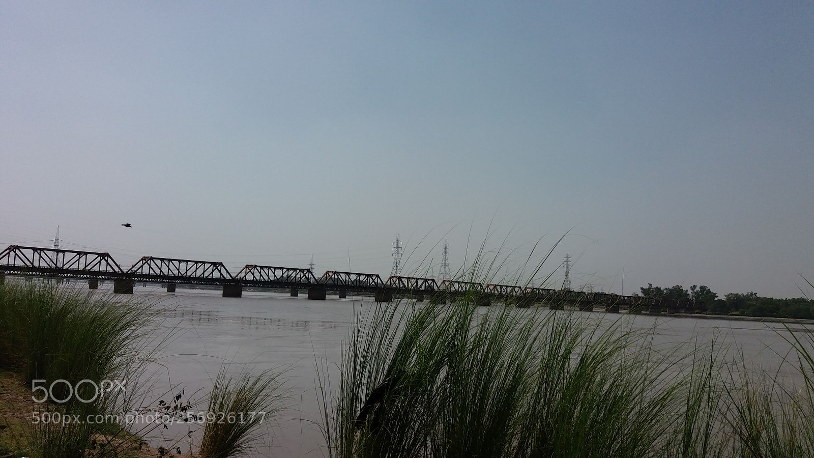 Samsung Galaxy J5 sample photo. Img wa photography