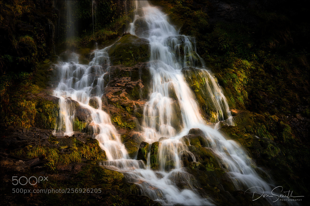 Sony a7R III sample photo. Salto del anillo photography