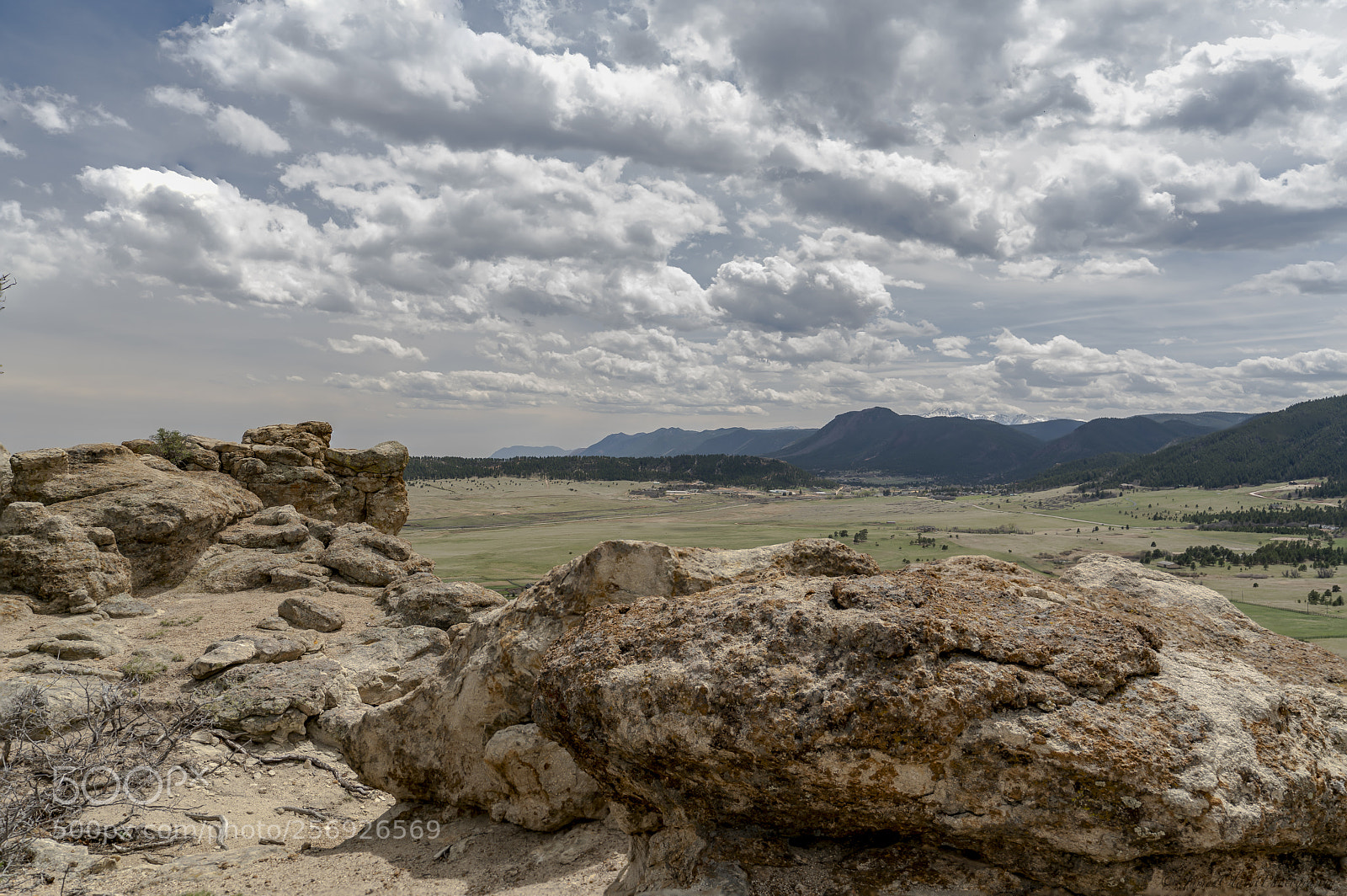 Sony a7R III sample photo. Looking over and out photography