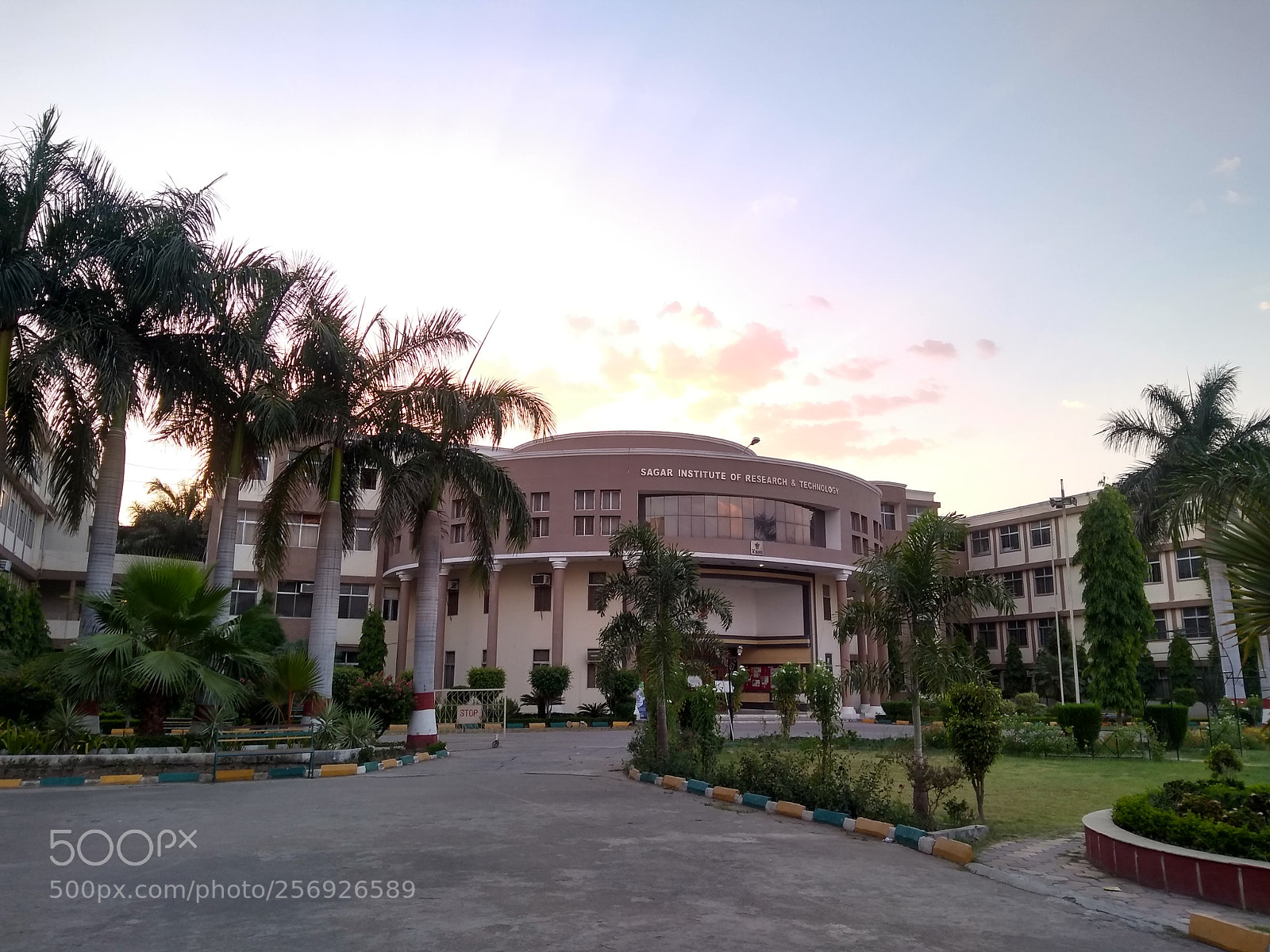Motorola Moto G (5S) Plus sample photo. Untitled photography