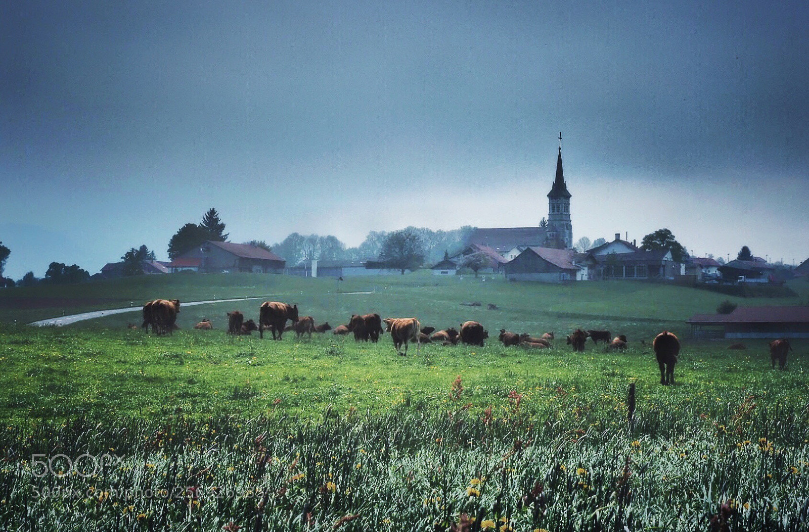 Olympus OM-D E-M5 II sample photo. A swiss landscape  photography