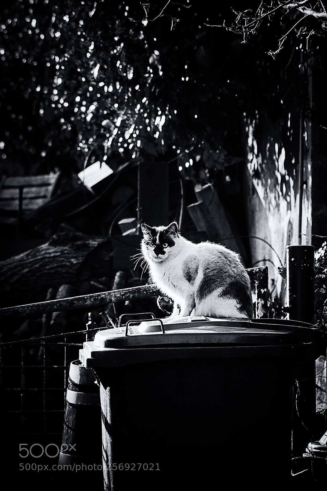 Pentax K-3 sample photo. 2018-01-14-huy-environs-14dxpx photography