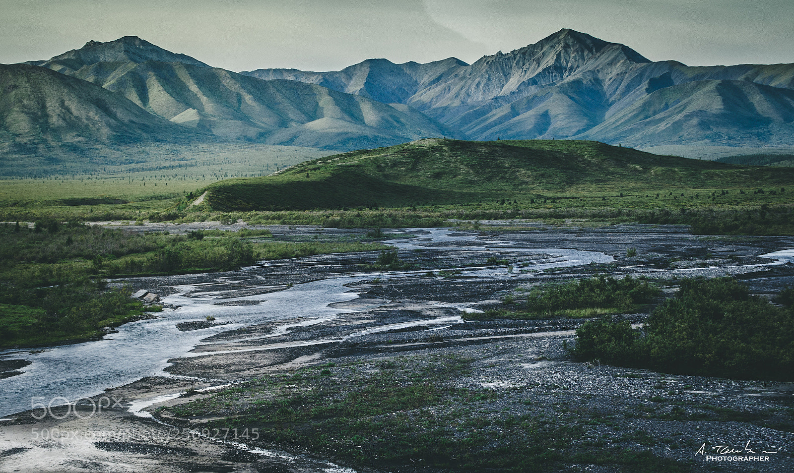 Nikon D5100 sample photo. Savage river, denali national photography
