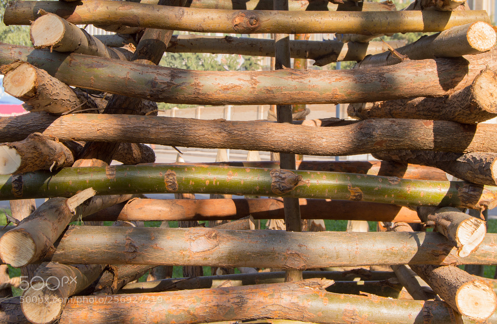 Nikon D3200 sample photo. Rope tied in a photography