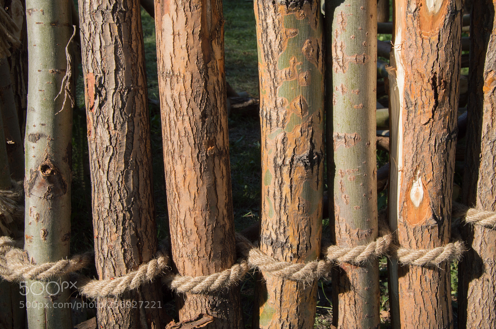 Nikon D3200 sample photo. Rope tied in a photography