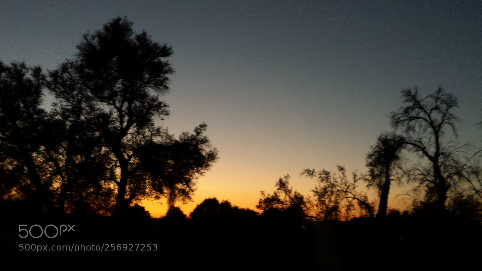 Samsung Galaxy S4 sample photo. Untitled photography