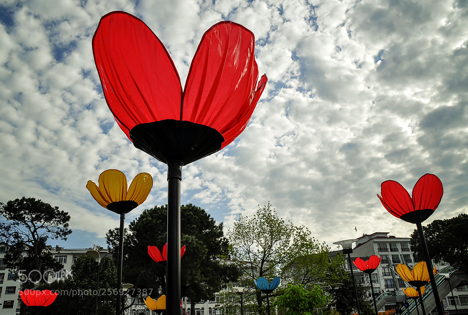 Nikon D5000 sample photo. Renkler photography