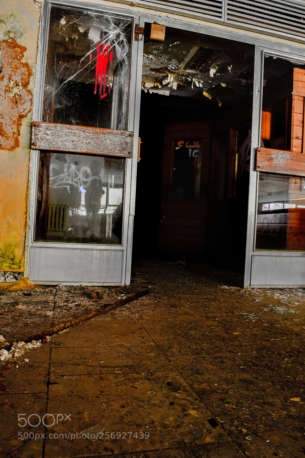 Nikon D3300 sample photo. Door photography