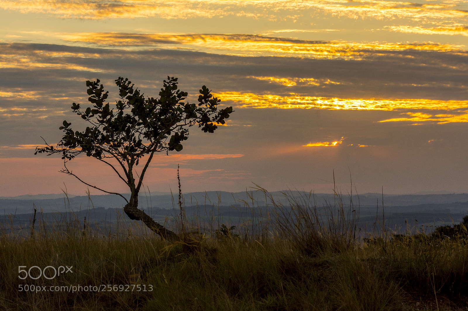 Nikon D7100 sample photo. Pôr do sol photography