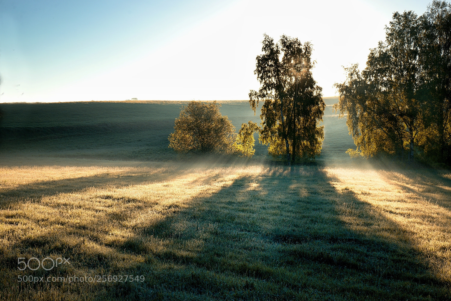 Sony a7 II sample photo. Jarní ráno photography