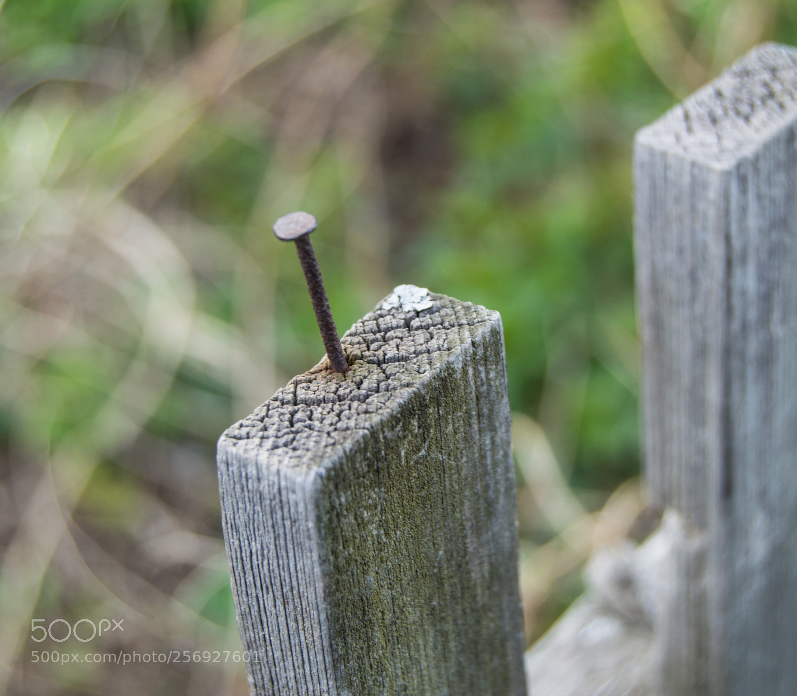 Nikon D3200 sample photo. Old wooden fence and photography