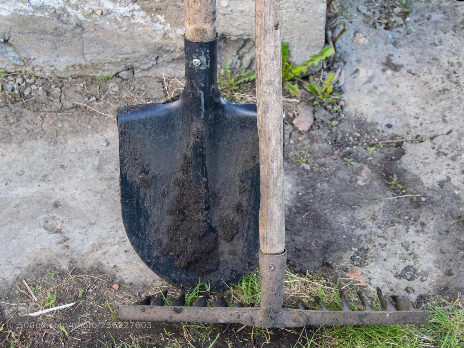 Nikon D3200 sample photo. Two dirty and used photography