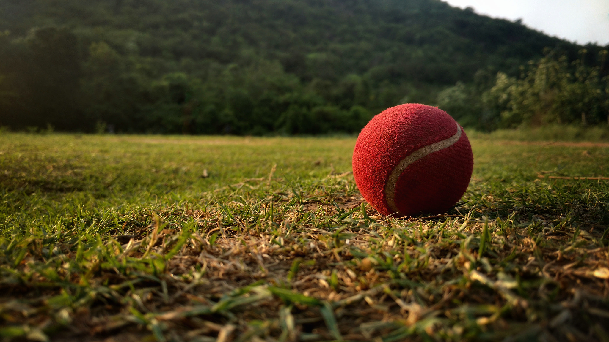 Motorola Moto X Play sample photo. Tennis ball photography