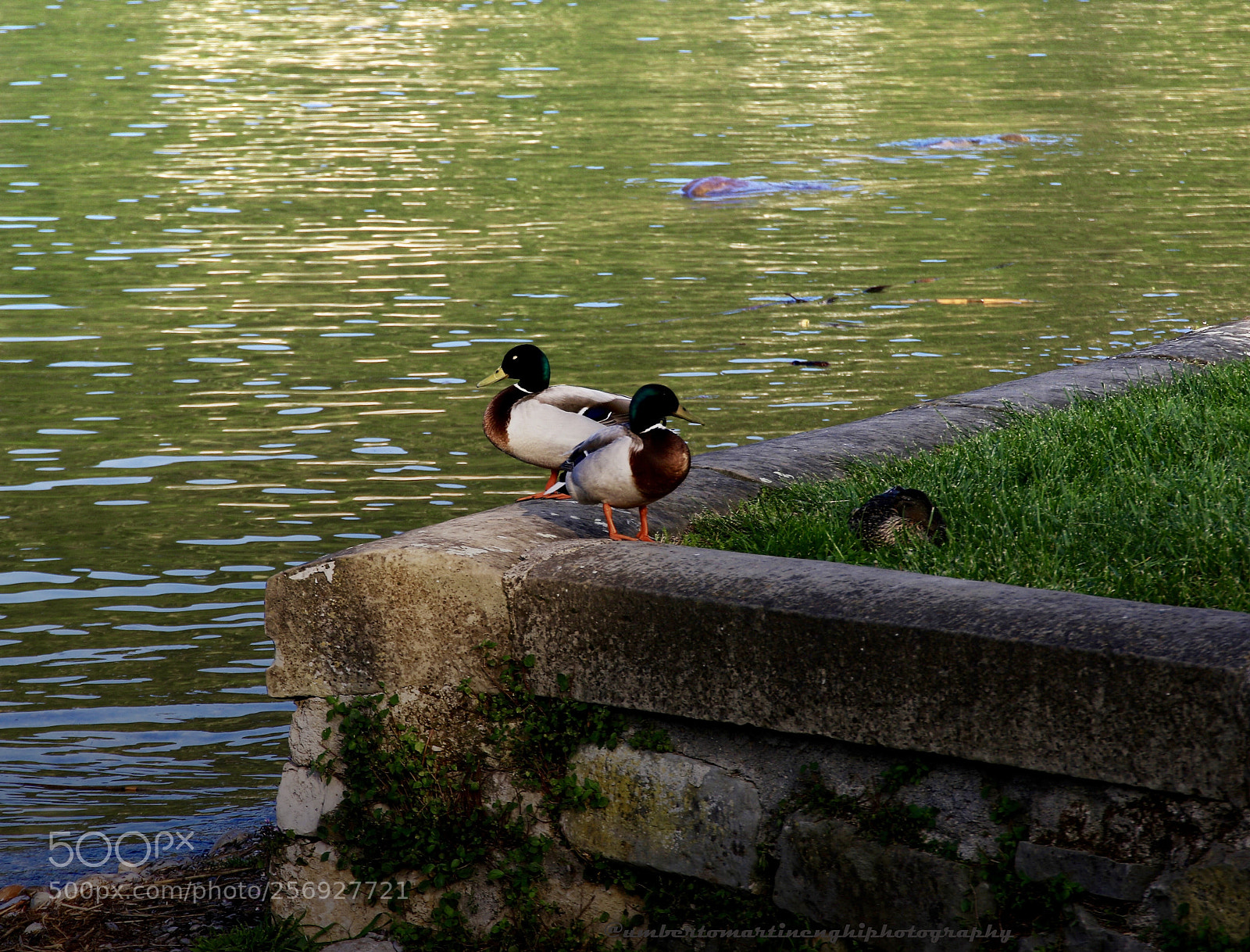 Canon EOS 7D Mark II sample photo. The sentinels photography
