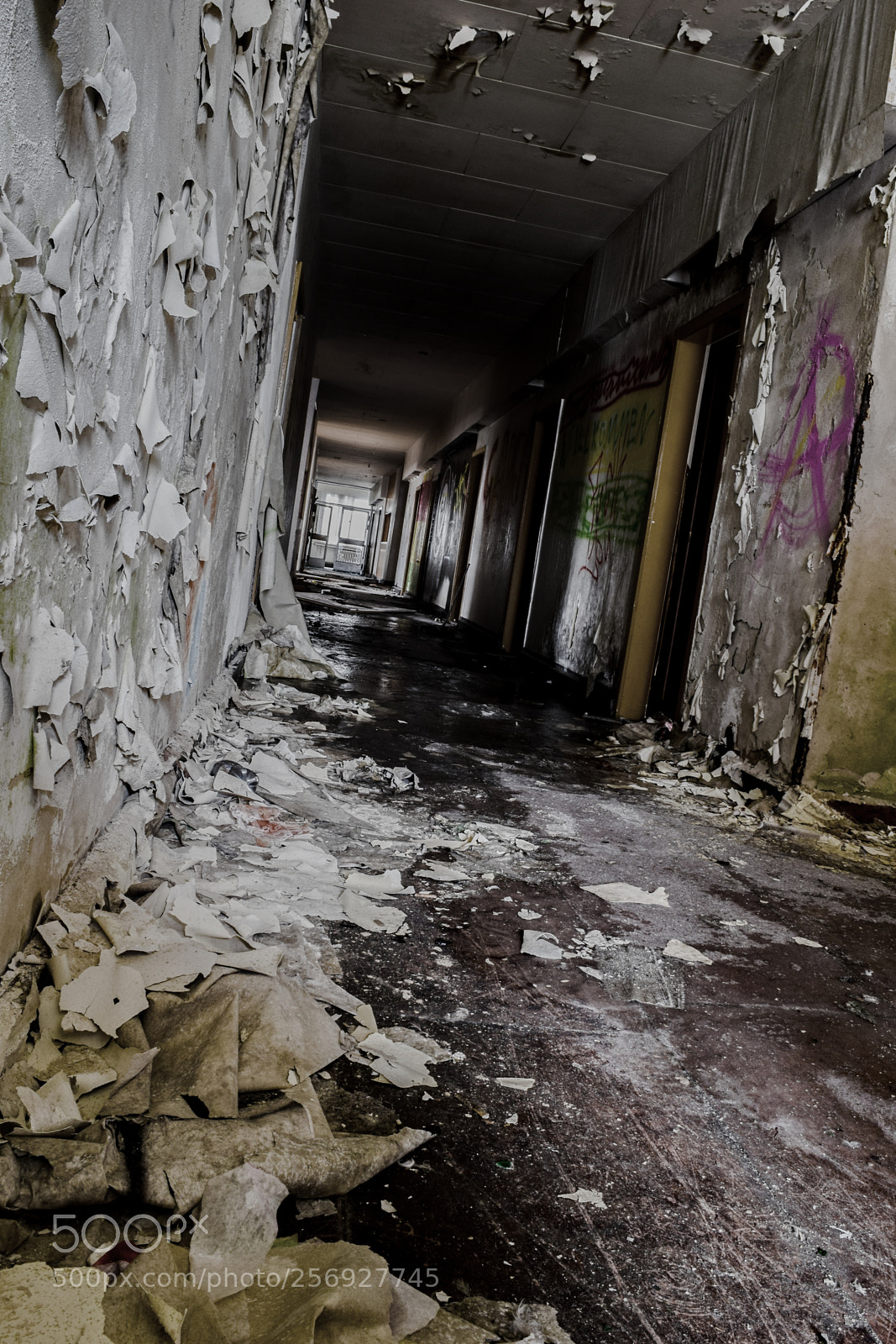 Nikon D3300 sample photo. Hallway photography