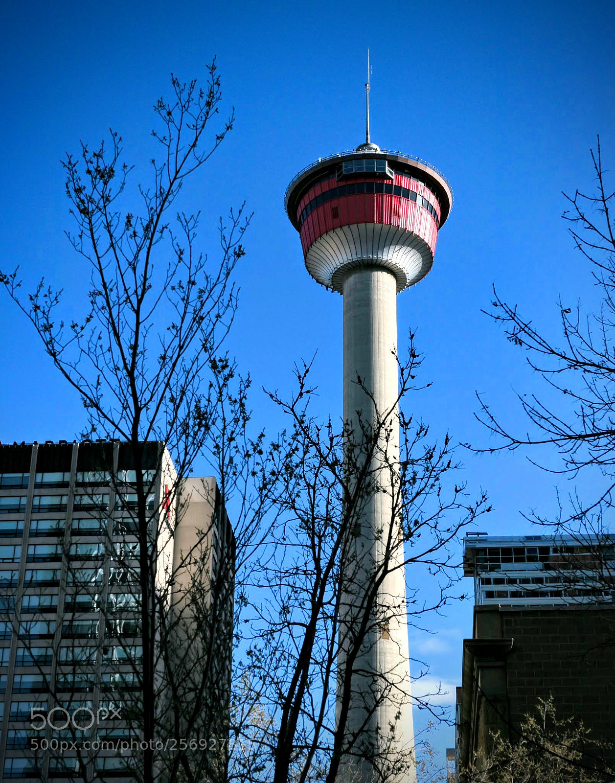 Canon EOS 80D sample photo. Untitled photography