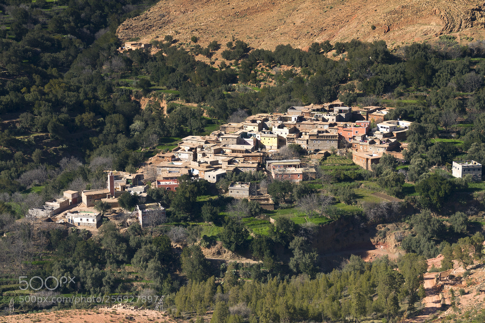 Canon EOS 7D sample photo. 2018-3878.jpg photography