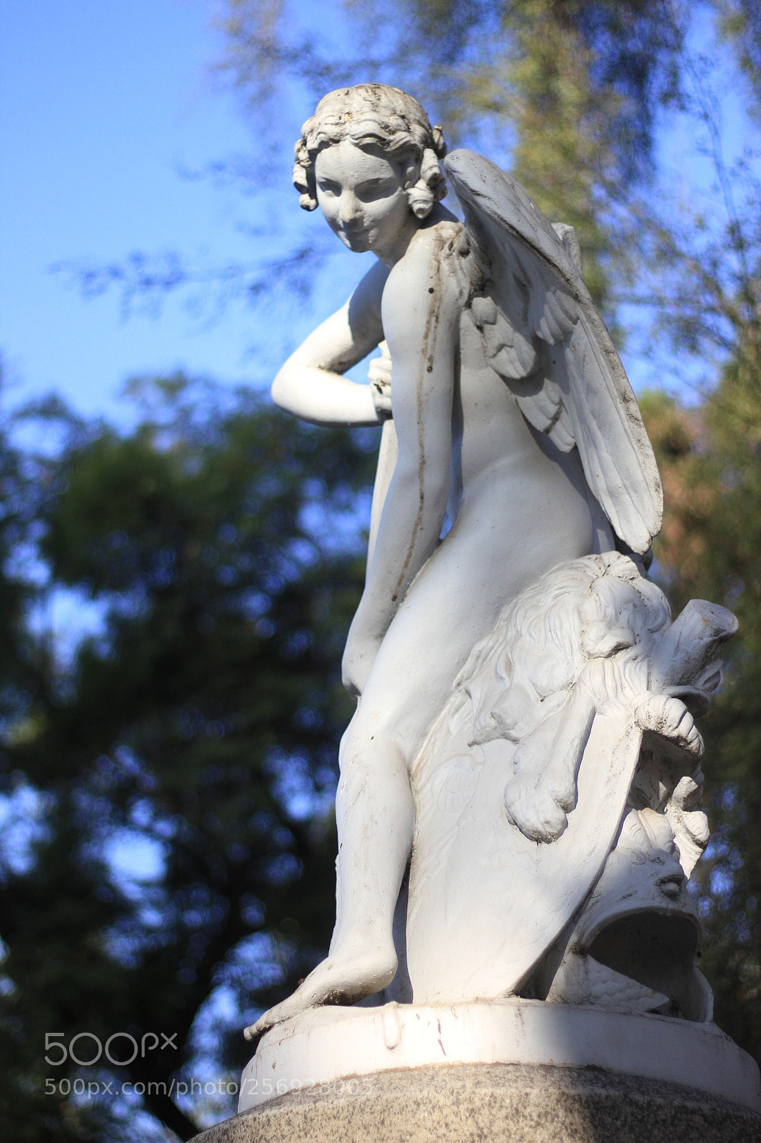Canon EOS 7D sample photo. Untitled photography
