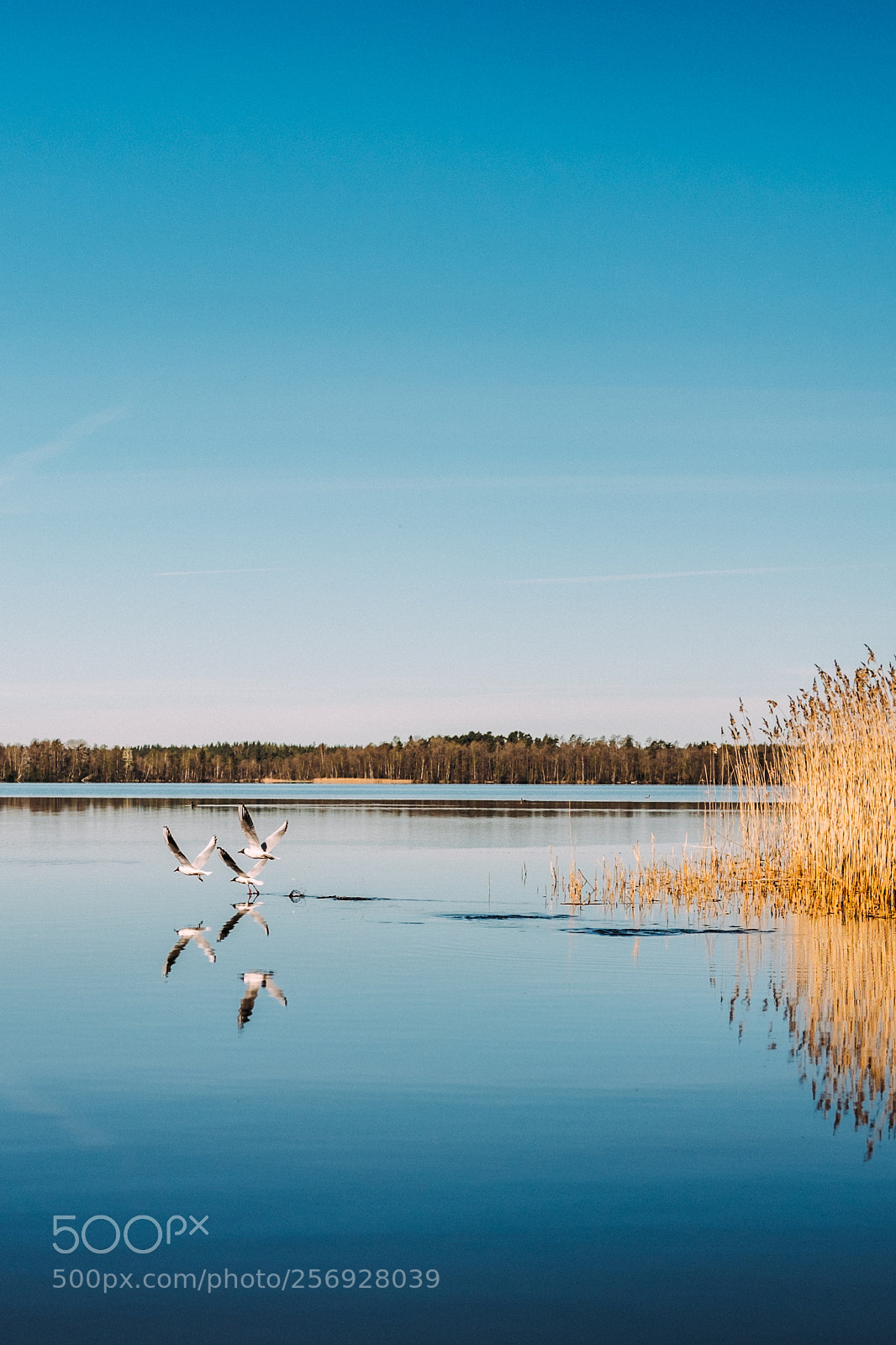 Fujifilm X-T1 sample photo. Lake photography