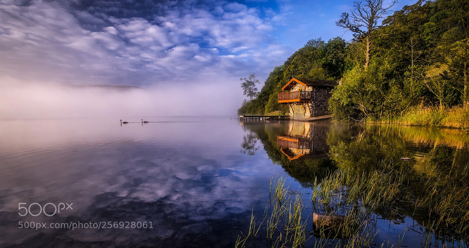 Canon EOS 6D sample photo. Swan lake photography