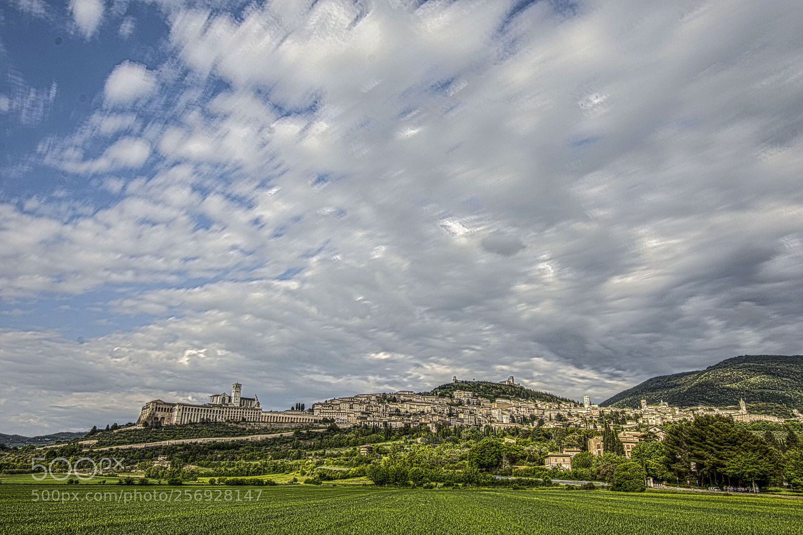 Nikon D7200 sample photo. Assisi. photography