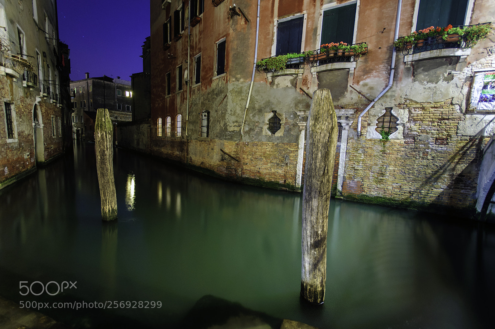 Nikon D90 sample photo. Night stroll in venice photography