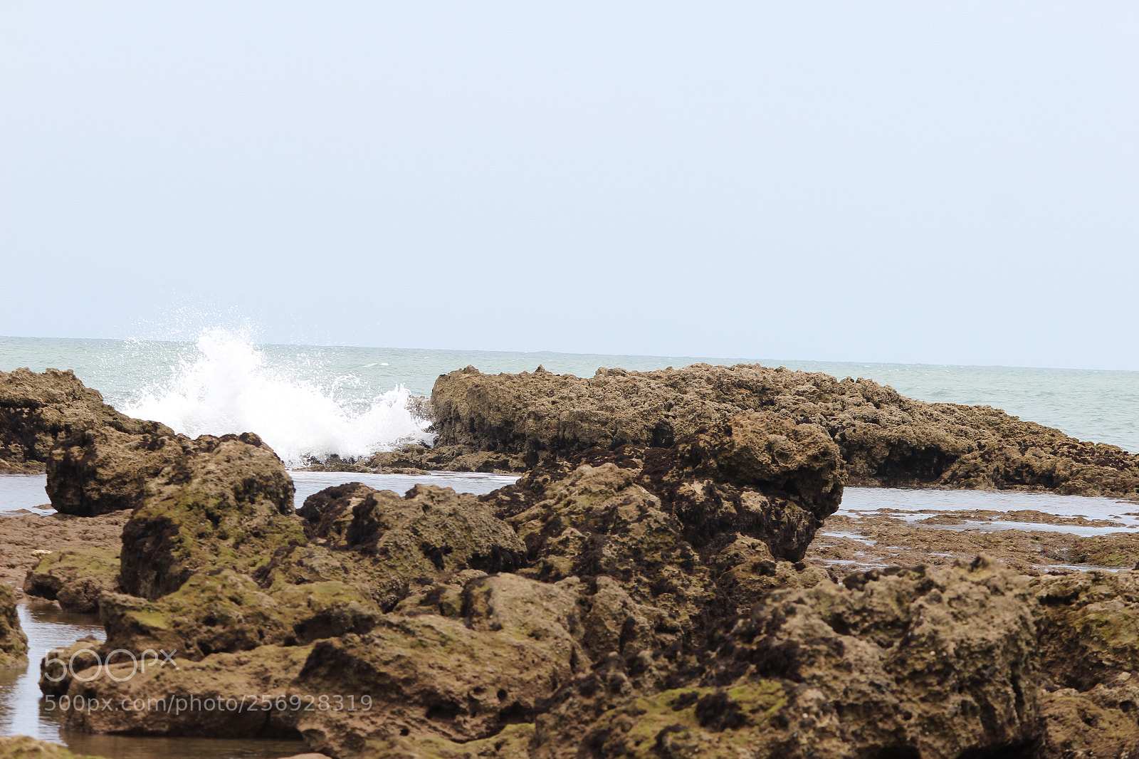 Canon EF-S 55-250mm F4-5.6 IS II sample photo. Untitled photography