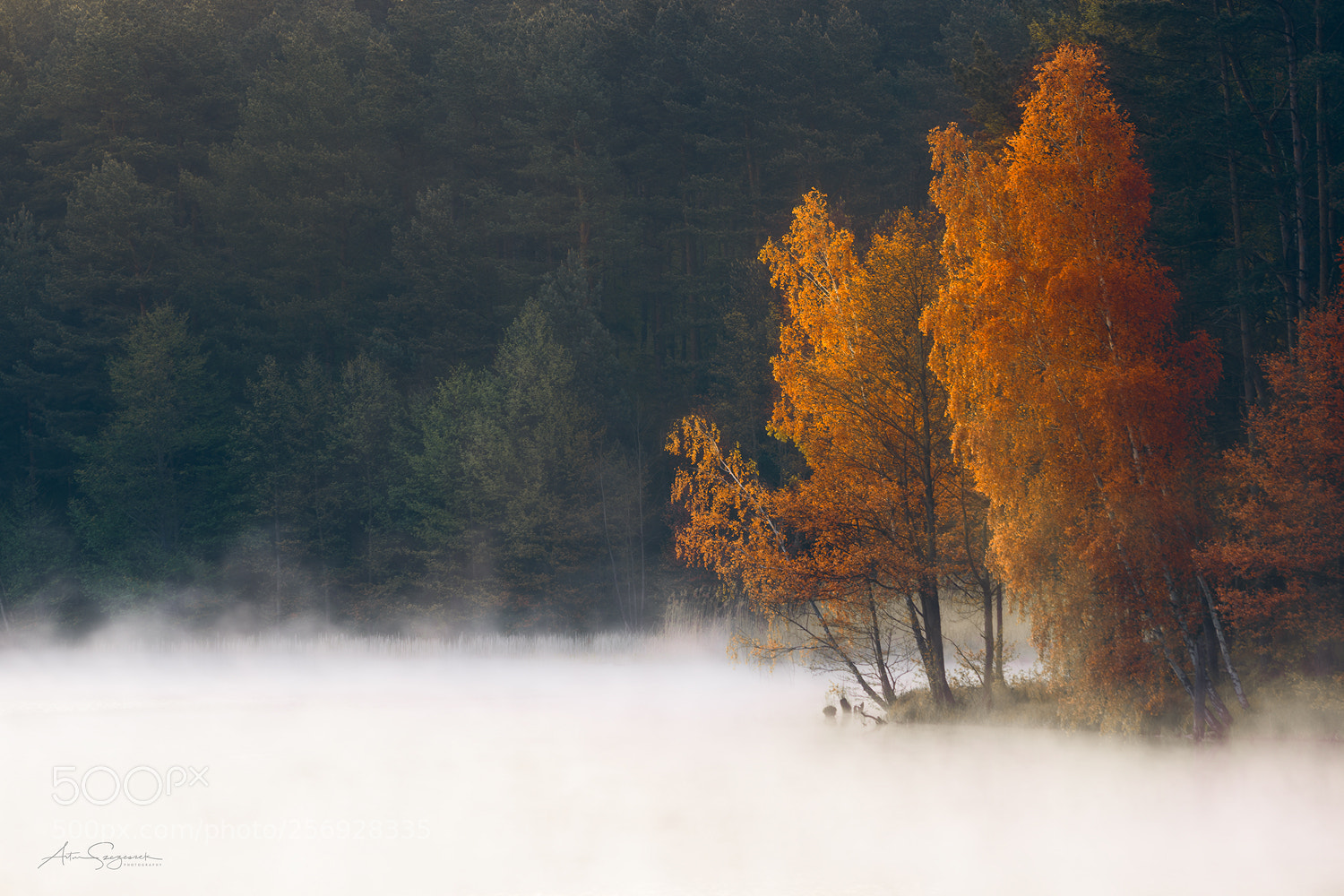 Nikon D7100 sample photo. Peaceful calmness photography