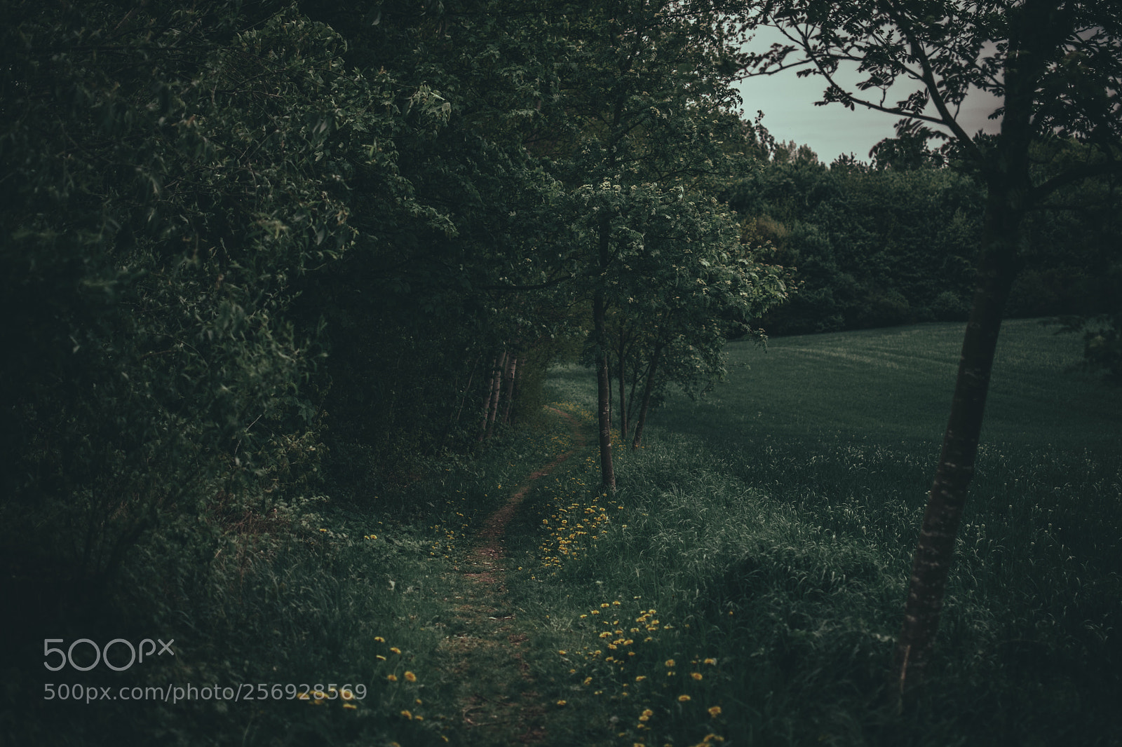 Nikon D3300 sample photo. Hometown landscape photography