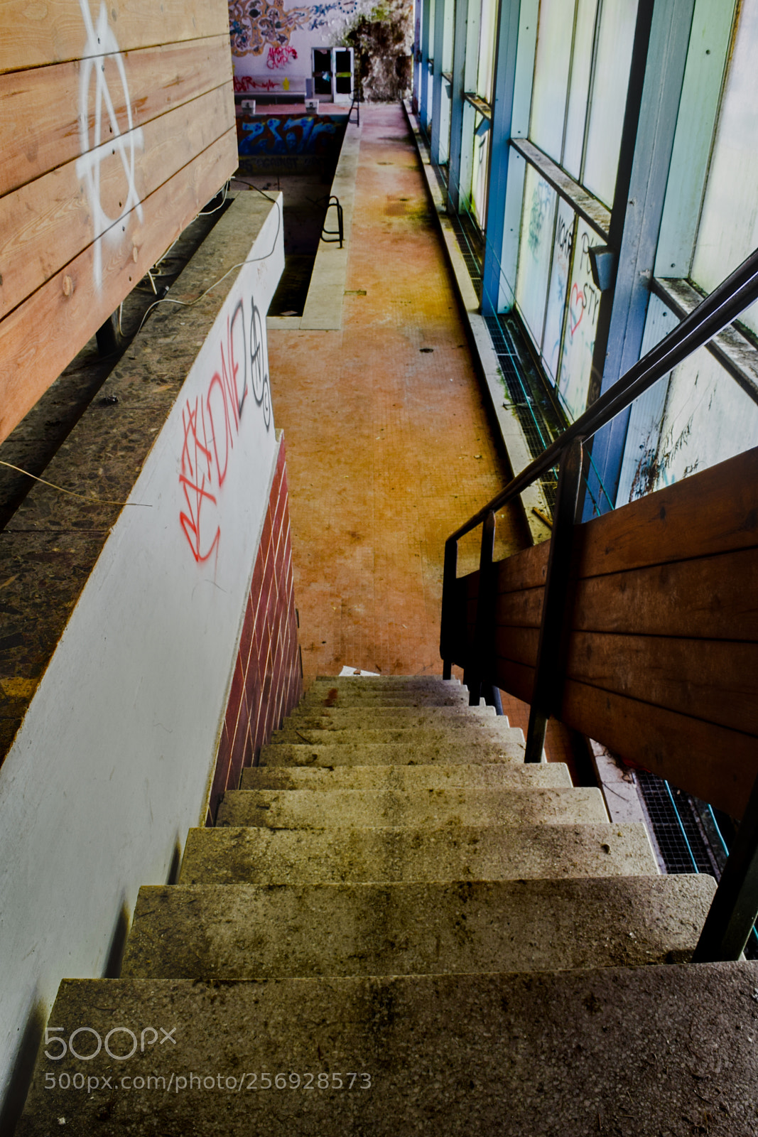 Nikon D3300 sample photo. Untitled photography