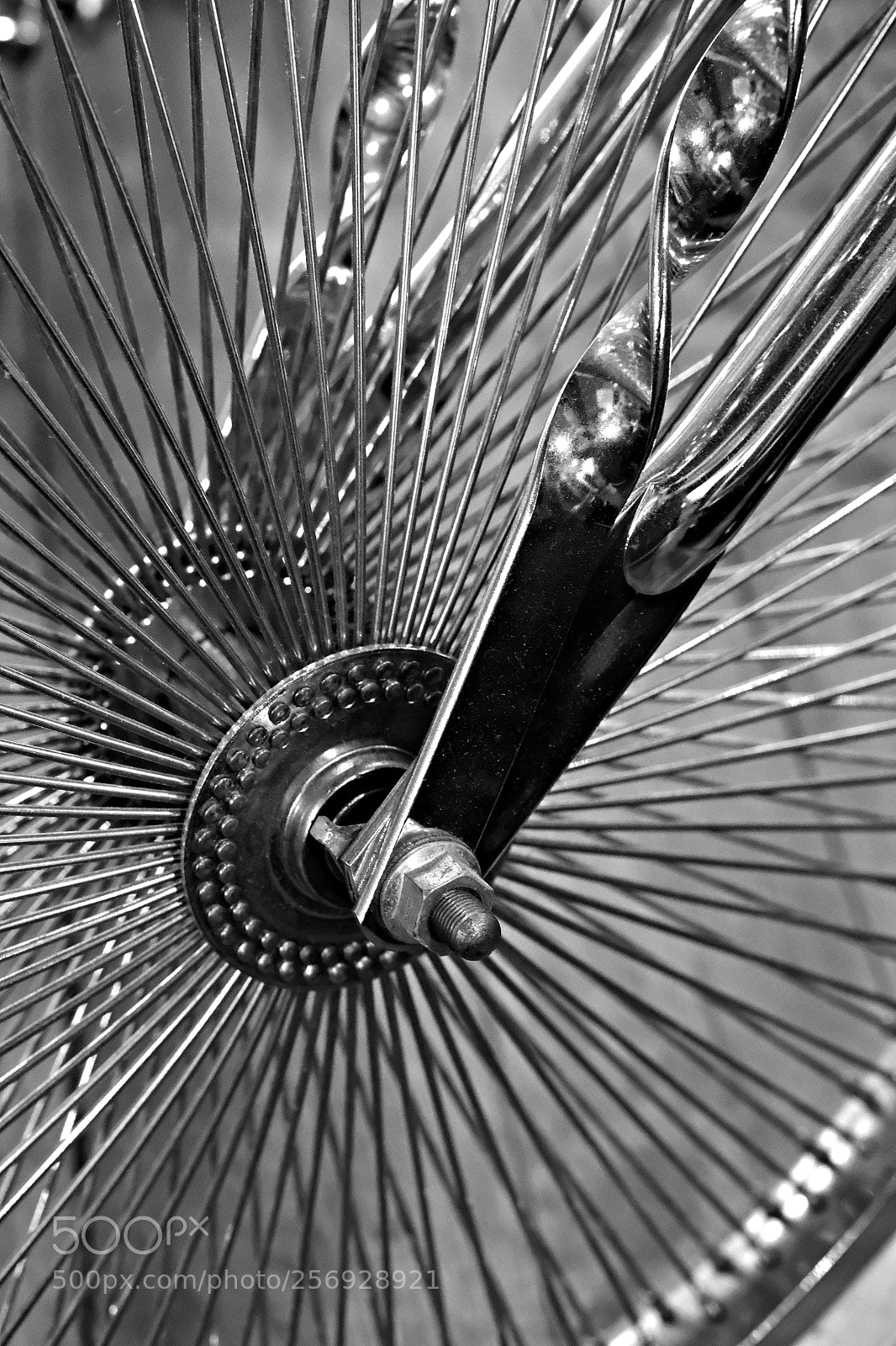 Fujifilm X-Pro2 sample photo. Bespoke b&w photography